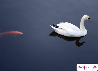 适合夏天发的小句子配图 夏天出去旅游的心情说说13