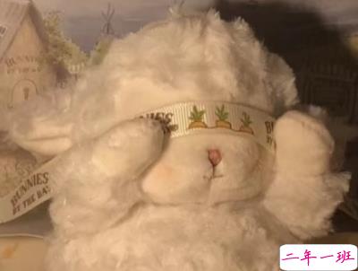 七夕柠檬文案大赛 2019七夕单身狗说说带图片11