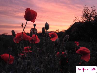 朋友圈干净短句带图片 干净短句说说很精辟5