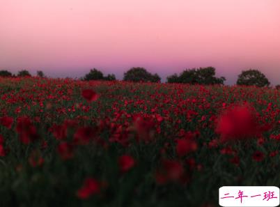 朋友圈干净短句带图片 干净短句说说很精辟9