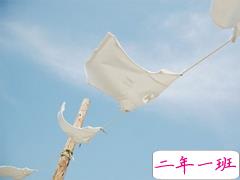 2019最新表白情话说说带图片 抖音流行的唯美情话句子