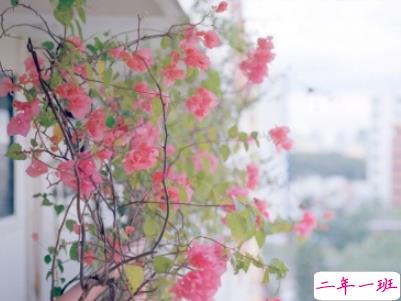 微信早安问候语简短带图片 2019早安暖心话十字以内1