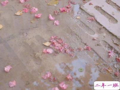 微信早安问候语简短带图片 2019早安暖心话十字以内5