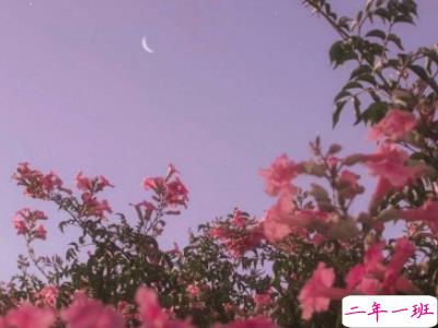 微信早安问候语简短带图片 2019早安暖心话十字以内12