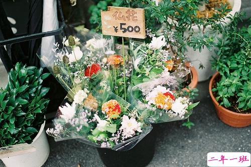 充满少女心的浪漫爱情说说带图片 好听简约有诗意的说说合集12