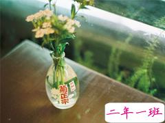 简简单单很干净的爱情说说带图片 该留下来的人总会一直在的