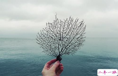 突然很怀念过去的说说内心难受 真的很想很想一个人的说说7