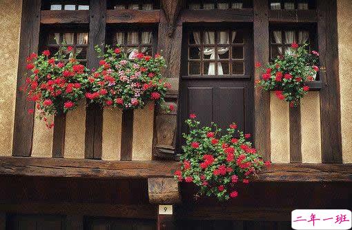 2019春分适合发朋友圈的说说句子带图片 今日春分早安经典说说2