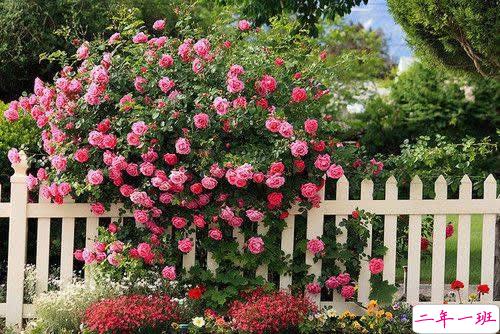 2019春分适合发朋友圈的说说句子带图片 今日春分早安经典说说3