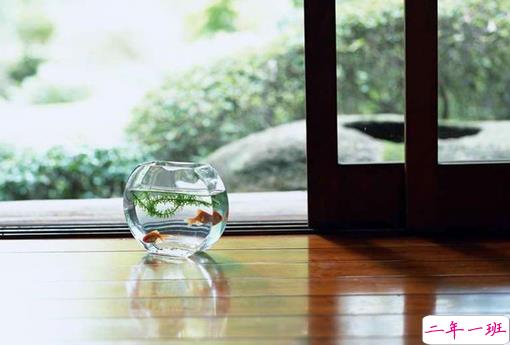 很真实的爱情感悟带图片 深有感触的经典爱情说说配图12