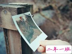 2019微信女生个性说说带图片 你想要的正在向你飞奔而来