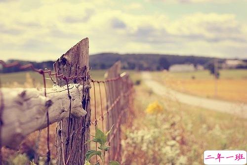 2019春分适合发朋友圈的说说句子带图片 今日春分早安经典说说11