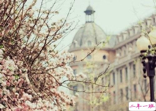 2019春分适合发朋友圈的说说句子带图片 今日春分早安经典说说13