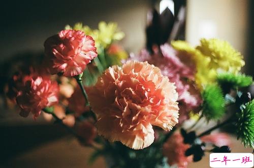 很特别的早安说说大全带图片 朋友圈早安心语独一无二吸引人2