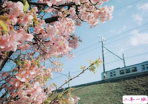 很特别的早安说说大全带图片 朋友圈早安心语独一无二吸引人3