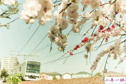 很特别的早安说说大全带图片 朋友圈早安心语独一无二吸引人5