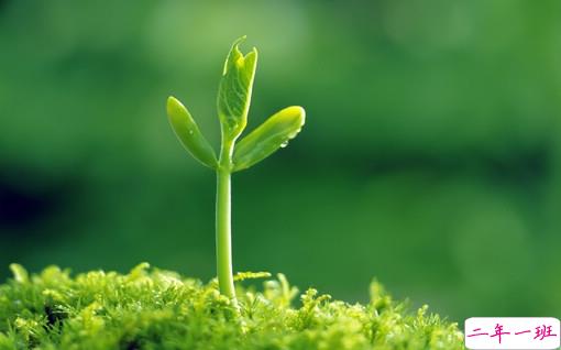 很特别的早安说说大全带图片 朋友圈早安心语独一无二吸引人7