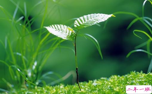 很特别的早安说说大全带图片 朋友圈早安心语独一无二吸引人11