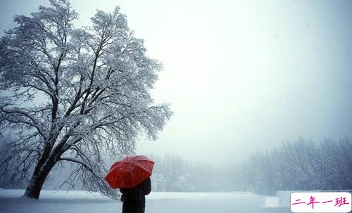 2019微信朋友圈个性说说配图 手机有电钱包有钱比什么都好11