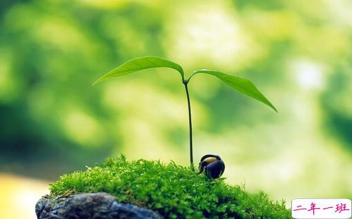 很特别的早安说说大全带图片 朋友圈早安心语独一无二吸引人15