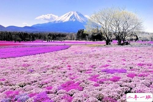 2019女生节微信说说大全带图片 三七女生节朋友圈祝福语说说6