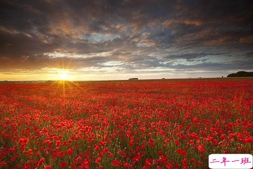 2019女生节微信说说大全带图片 三七女生节朋友圈祝福语说说8