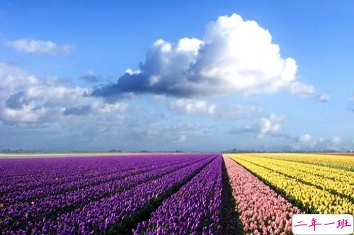 2019女生节微信说说大全带图片 三七女生节朋友圈祝福语说说9