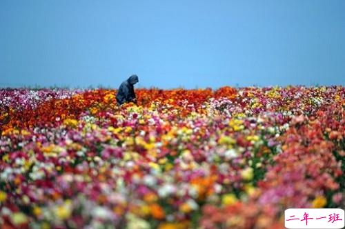 2019女生节微信说说大全带图片 三七女生节朋友圈祝福语说说11
