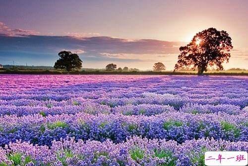 2019女生节微信说说大全带图片 三七女生节朋友圈祝福语说说12