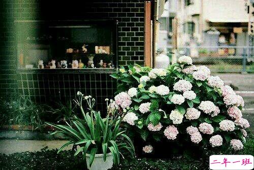 适合朋友圈发自拍的文案 女生发自拍的配文独特有趣15