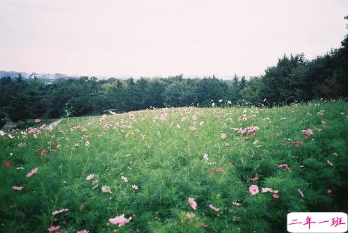 抖音说说短语霸气高冷男生 比较火的霸气超拽说说1