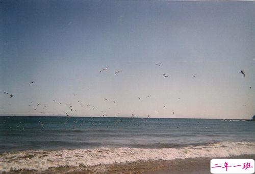 抖音说说短语霸气高冷男生 比较火的霸气超拽说说2