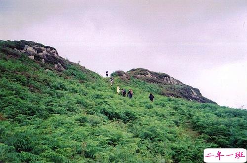 抖音说说短语霸气高冷男生 比较火的霸气超拽说说4