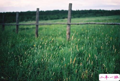 抖音说说短语霸气高冷男生 比较火的霸气超拽说说15