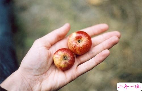独具一格的微信个性说说带图片 每一条都值得收藏10