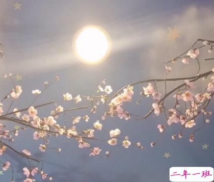 对爱情彻底失望的伤感说说带图片 一个人感到十分心累的伤感说说6