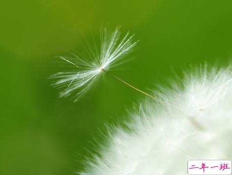 幸福爱情个性说说大全最新版配图 2018唯美爱情说说带图片14