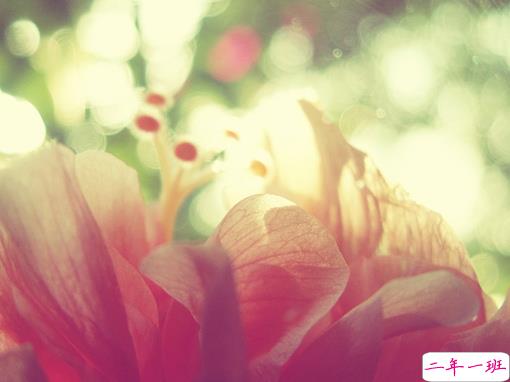 独一无二的qq个性说说带图片 充满阳光的经典说说20191