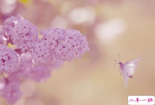 独一无二的qq个性说说带图片 充满阳光的经典说说20193