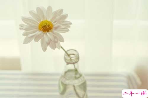 独一无二的qq个性说说带图片 充满阳光的经典说说201910