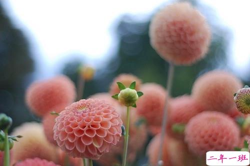 独一无二的qq个性说说带图片 充满阳光的经典说说201915