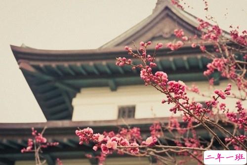 十二月治愈系早安说说2018精选带图片 麻烦十二月对我好一点11