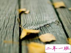 独一无二微信个性说说带图片 路那么长少一些人也无妨