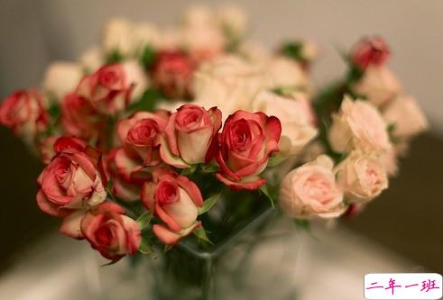 朋友圈个性说说2019最火爆的带图片 对我好的人请放心不会把你弄丢的3