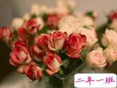 朋友圈个性说说2019最火爆的带图片 对我好的人请放心不会把你弄丢的