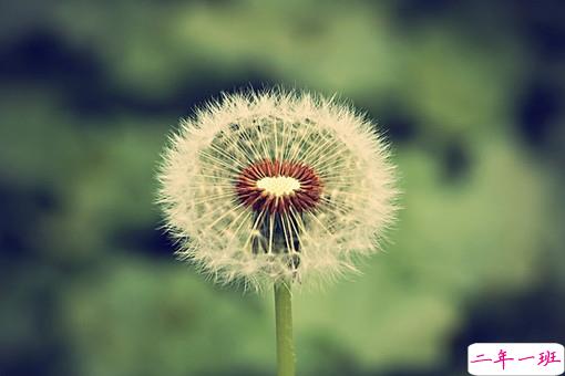 晚安说说励志好心情一句大全带图片 简单一句晚安心语励志配图1