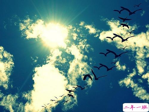 女生个性说说经典霸气带图片 知道自己不讨喜那就乖一点5