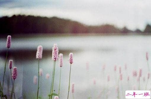 晚安说说励志好心情一句大全带图片 简单一句晚安心语励志配图14