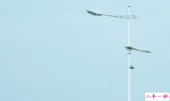 关于爱情和喜欢一个人的心事的经典图片说说13