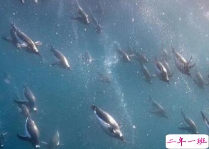 致自己的一句话个性说说带图片 想要诉说自己心情的说说5